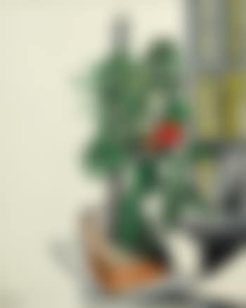 Plant De Tomate (preview)