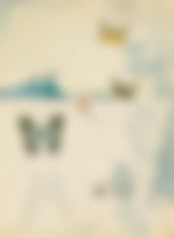 Papillons (preview)