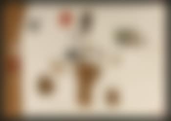 Composition (preview)