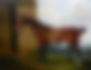The Earl of Powis's racehorse standing by a stable in an extensive wooded landscape (preview)