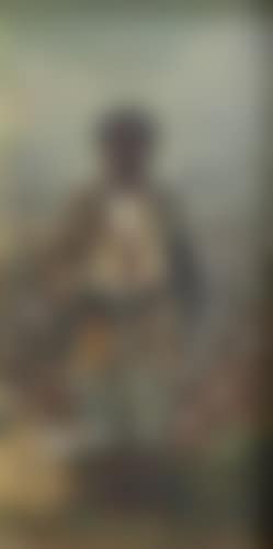 Man in cotton field (preview)
