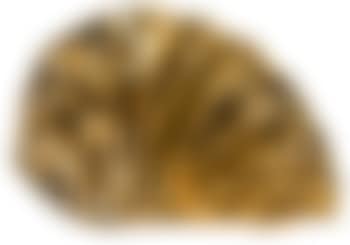 Gold Lustre (preview)