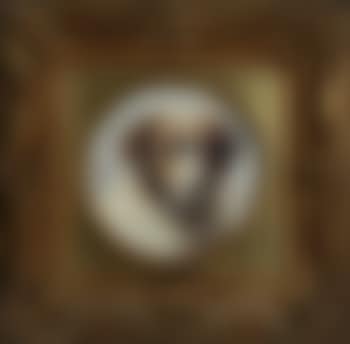 Portrait eines Bernhardiners (preview)