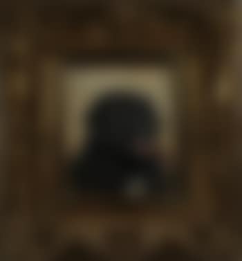 Portrait eines schwarzen Neufundländers (preview)