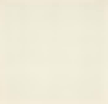 Untitled (#19) (preview)