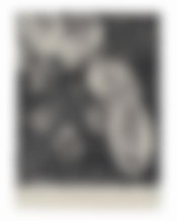 Study for the Star Sack (preview)