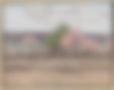 Blühender Obstgarten (preview)