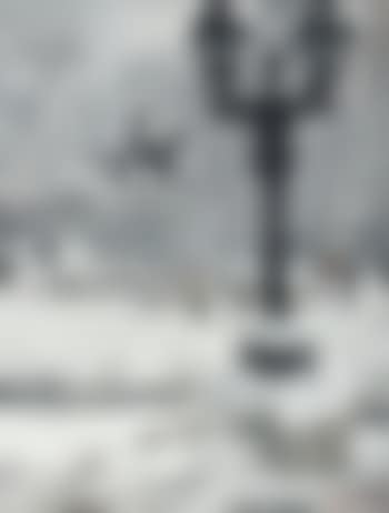 La place Neuve sous la neige. (preview)