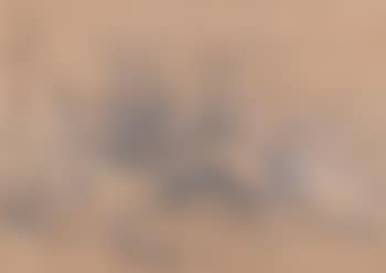 Landschaftspartie mit Baumgruppe. (preview)