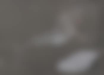 Le serpent de brume. (preview)
