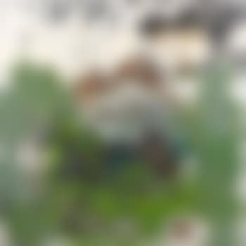 Paysage (preview)