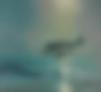 The Winkle, A Wwii Float Plane (preview)