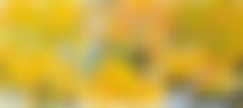 Some More (preview)