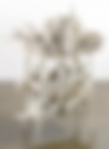 Untitled (preview)
