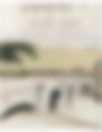 The Pont Neuf, Wrapped (Project For Paris) (preview)