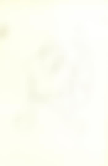 Reclining nude resting on arms (preview)