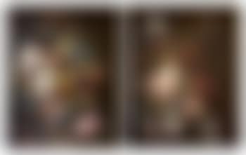 Fleurs dans un vase sur un parapet by Pieter Faes (preview)