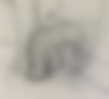 Vanité (preview)