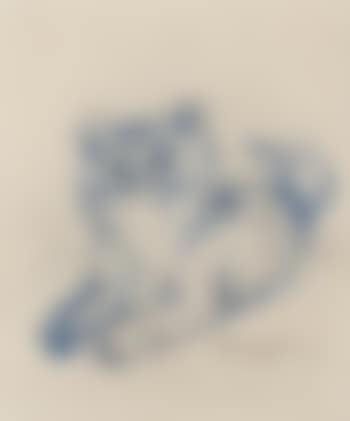 Chaton (preview)