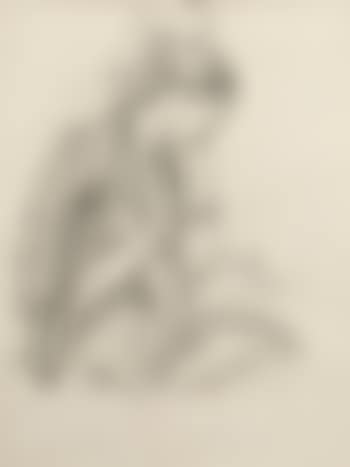 La lecture (preview)