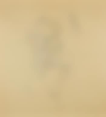 Composition (preview)