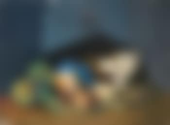 Nature morte (preview)