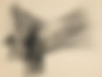 Sans titre (preview)
