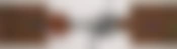 Abstract (preview)