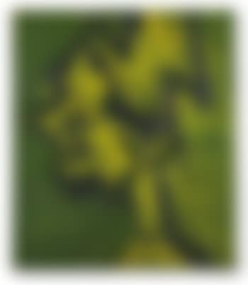 Head Of Paula Eyles (preview)