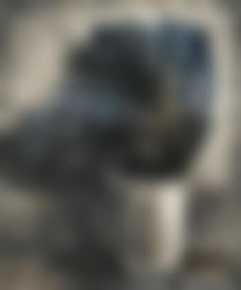 Vase de fleurs (preview)