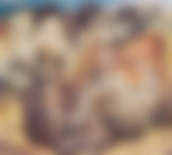 Kamele (preview)