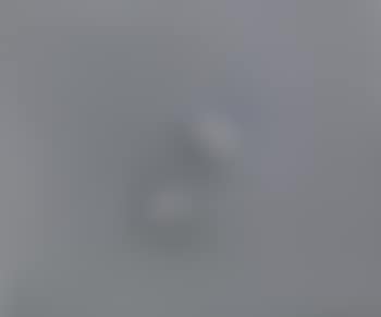 Due ovali in grigio (preview)