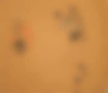 Figure Sketches with Camera (preview)