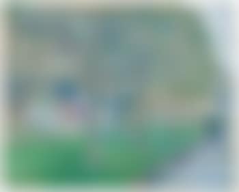 Un Paseo En El Parque (preview)