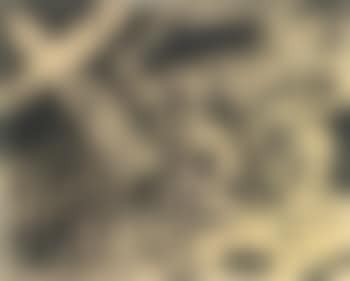 Prepatory Study For Cristo Destruye Su Cruz (preview)