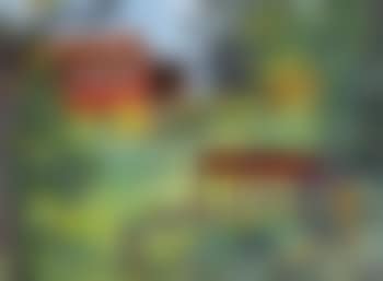 Garden With Red House (preview)