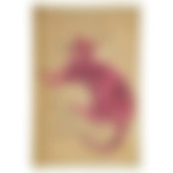 25 cats name[d] Sam and one Blue Pussy (preview)