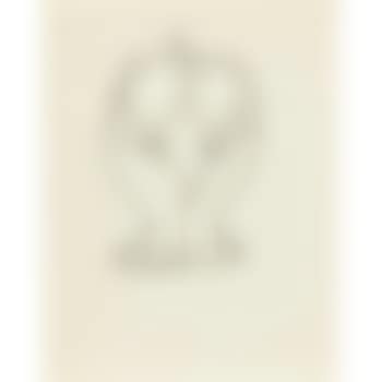 Female figure (preview)