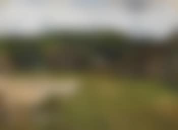 Forest Clearing Near Chuguev, Ukraine (preview)