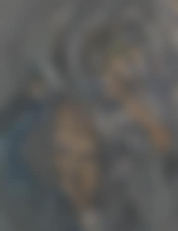 Male Portrait (preview)