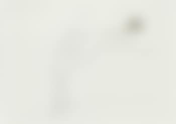 Untitled (Akt) (preview)