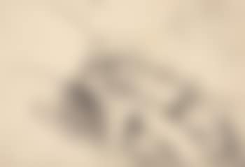 Handstudie (preview)