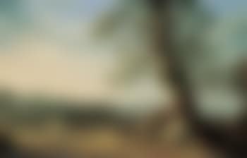 Der Hafen Von Livorno I (preview)