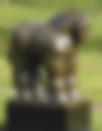 Horse (preview)