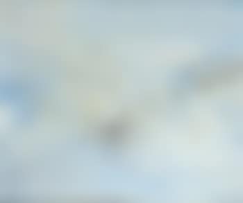 16.05.69 (preview)