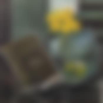 Still Life with Flowers and Fruits (preview)