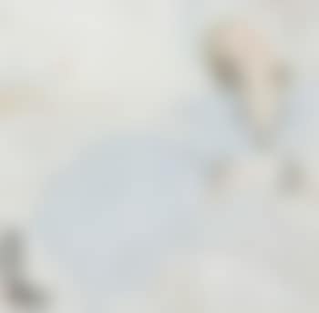 Jeune Femme (Portrait of a Young Lady) (preview)