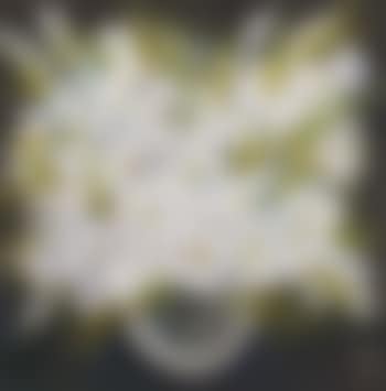 Gladiola (preview)