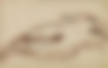 Lady Lying down (preview)
