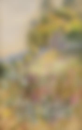Wild Flowers in a Field (preview)